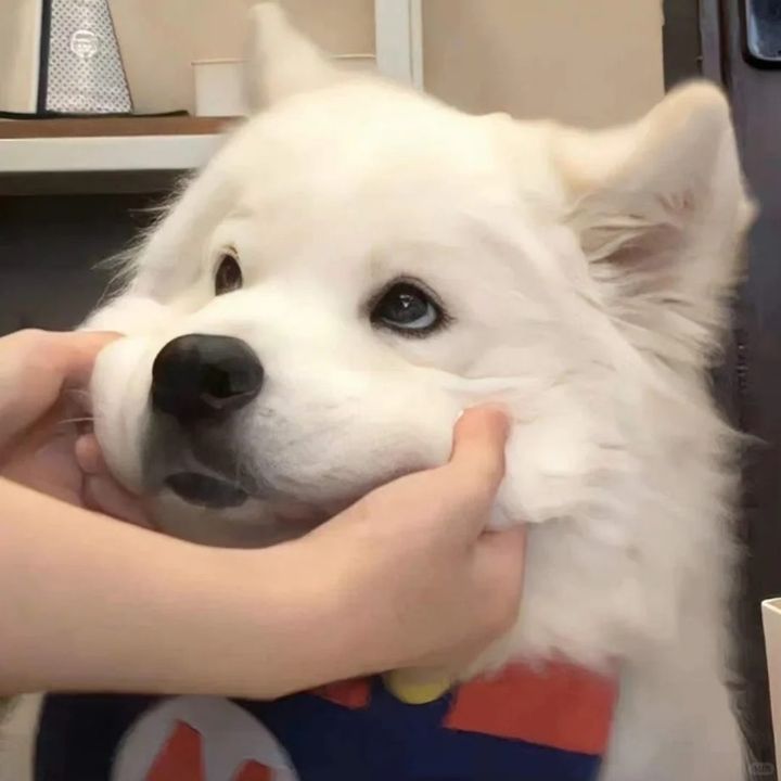 xqzwpgrjb0r