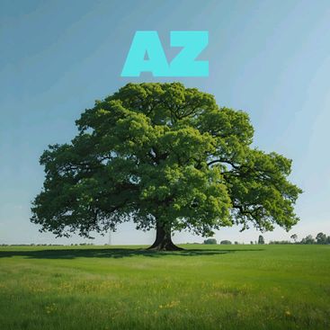 azmanspot