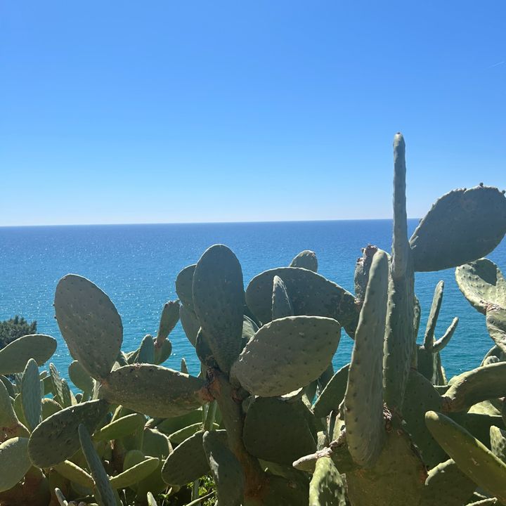 Paradiso terrestre