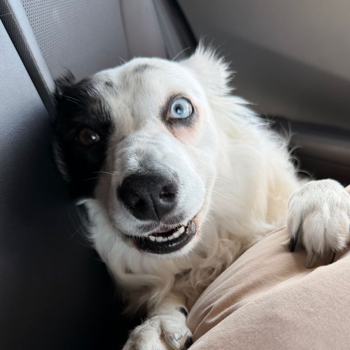 Max