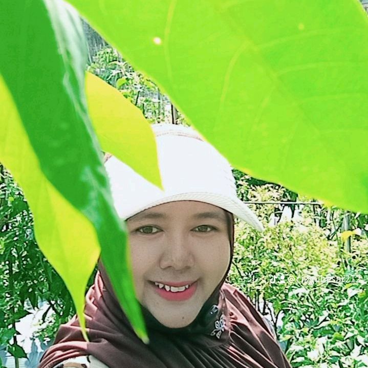 Ootd Gemoy