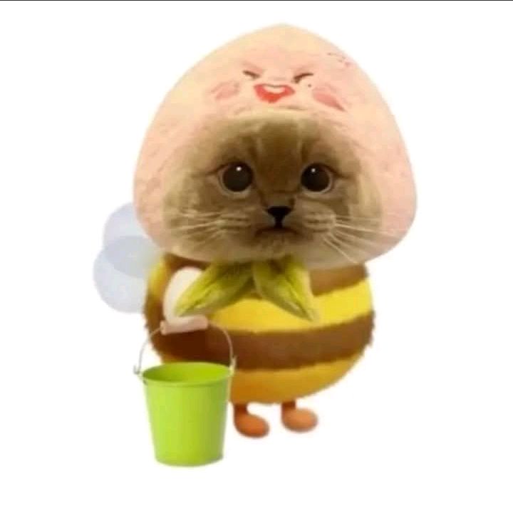 ฮอมแฮม