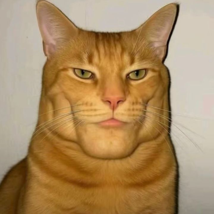 tiktok_2_foufurieux