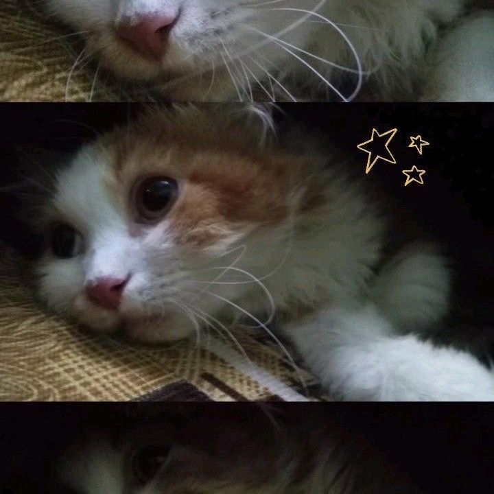onlyqzhihi
