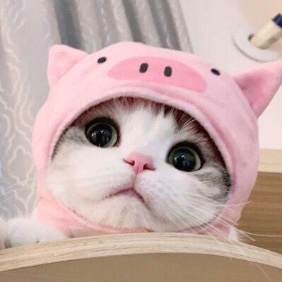 user422318