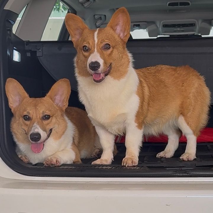 Mochi & Pochi