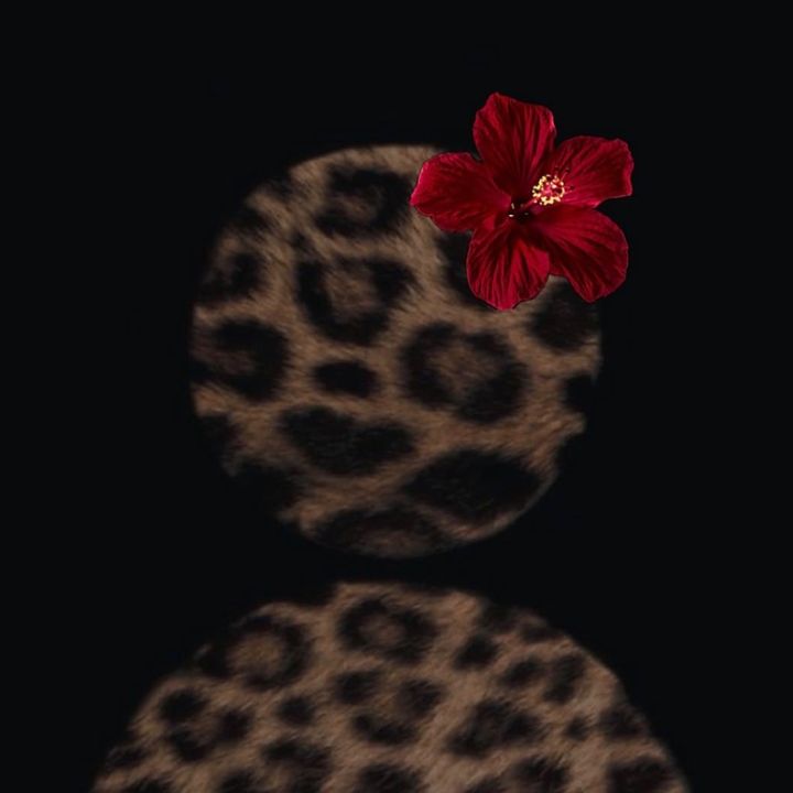 uniqueslostfiles05_