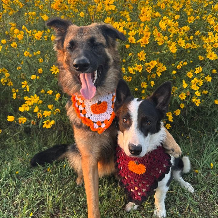 Kote & Tvlako