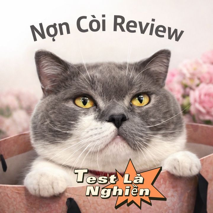 noncoireview