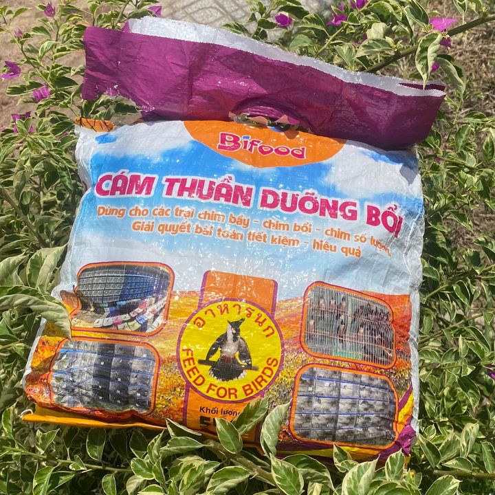 Kha Văn Quềnh