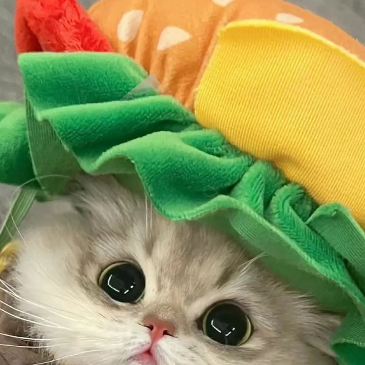 koduf