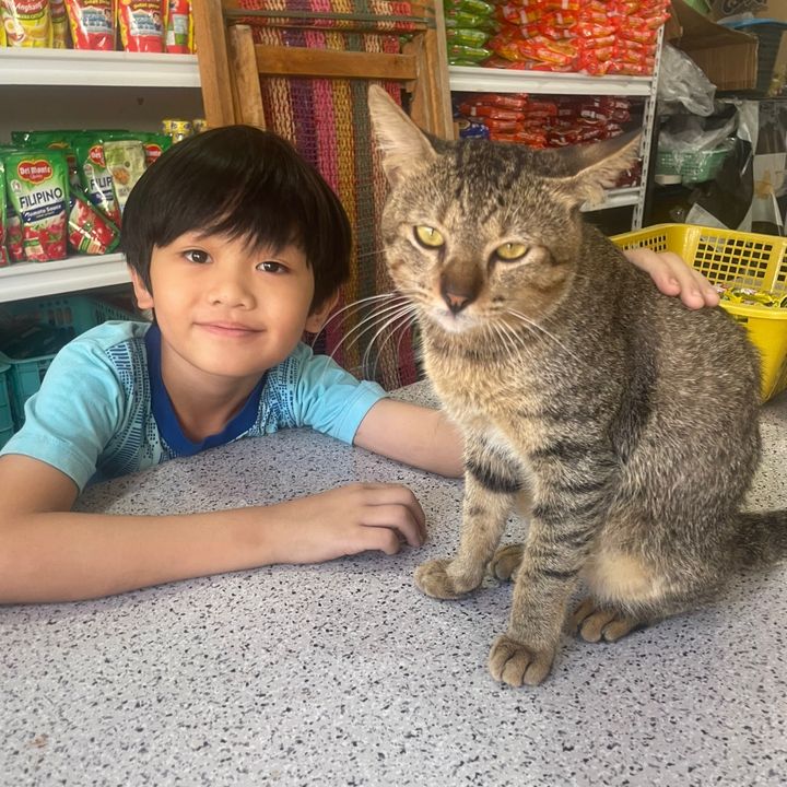 Kitty.kyutkyut😻