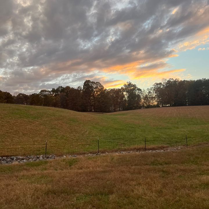 triple.h.farm