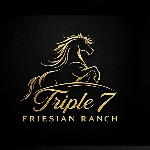 triple7friesianranch