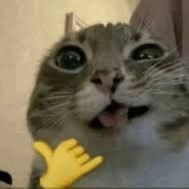 Pluh