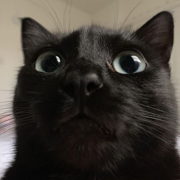 อซม