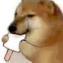 Dogggggg