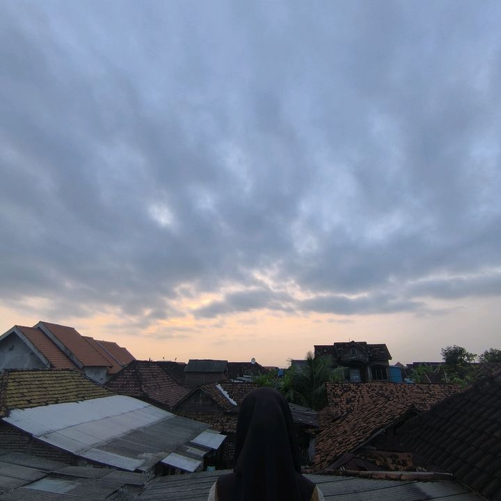 Van java