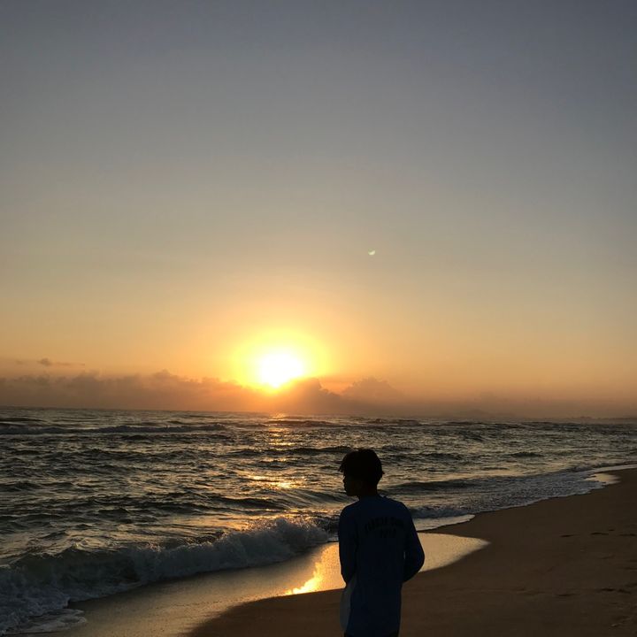 🕊️