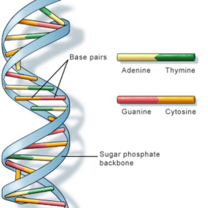 FunctionalGenomics