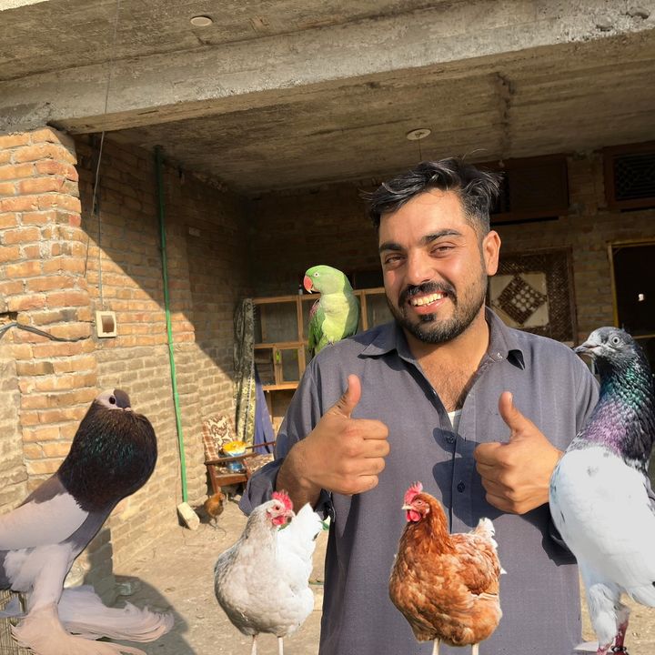 Aun Birds vlog🕊️🐓🦜