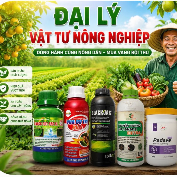 Nông Nghiệp 2 ✅