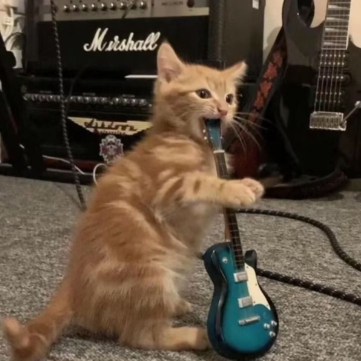 jkjcfclqzbe