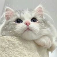 user28993401052