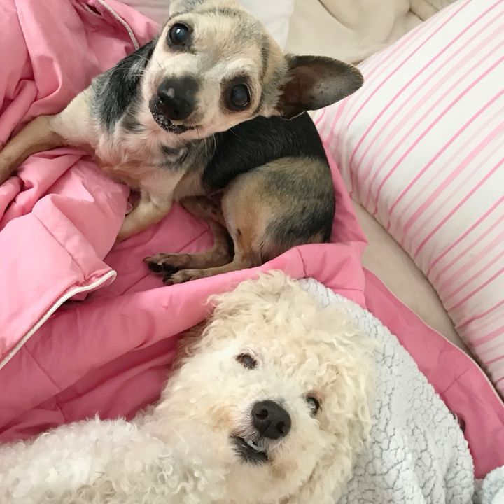 Pippy❤️Tobi