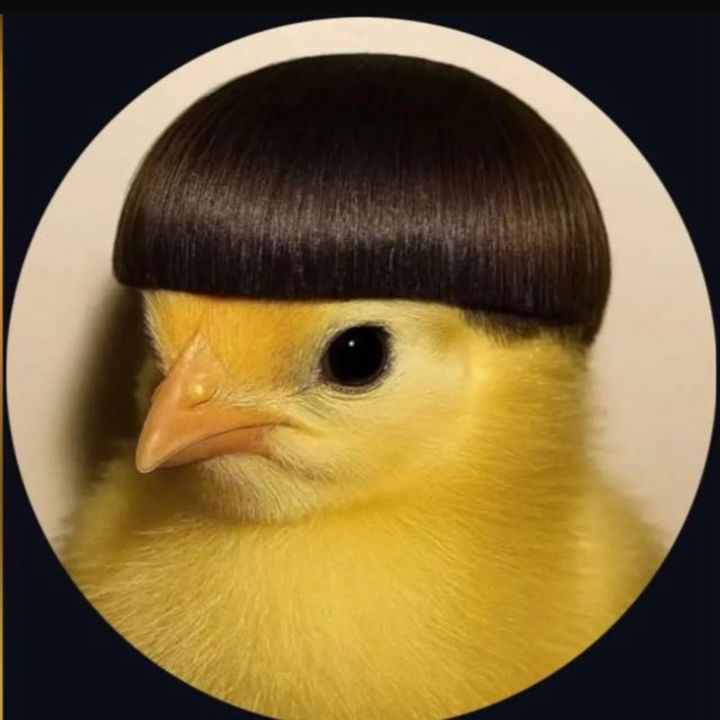 É o pito 🐤