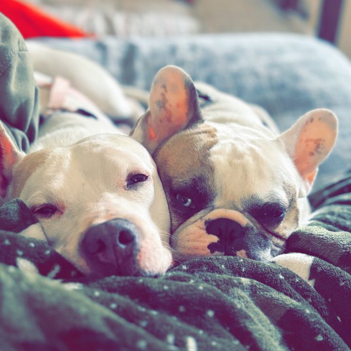 RockyandBeans