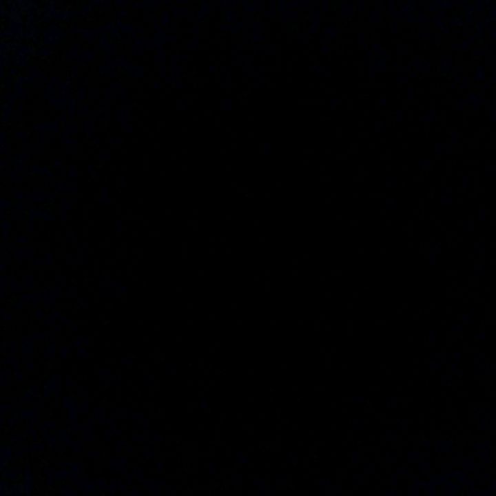 salimvfffnd