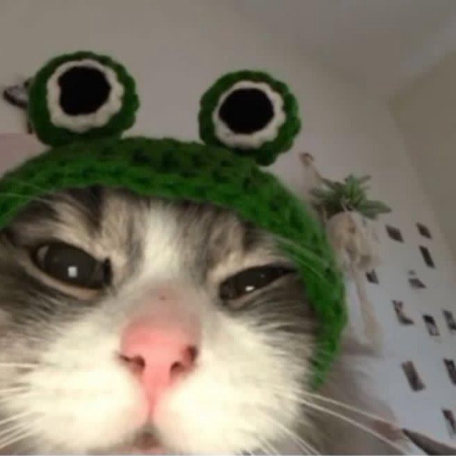 kittymi4ww_