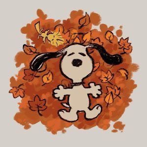 mely🍂