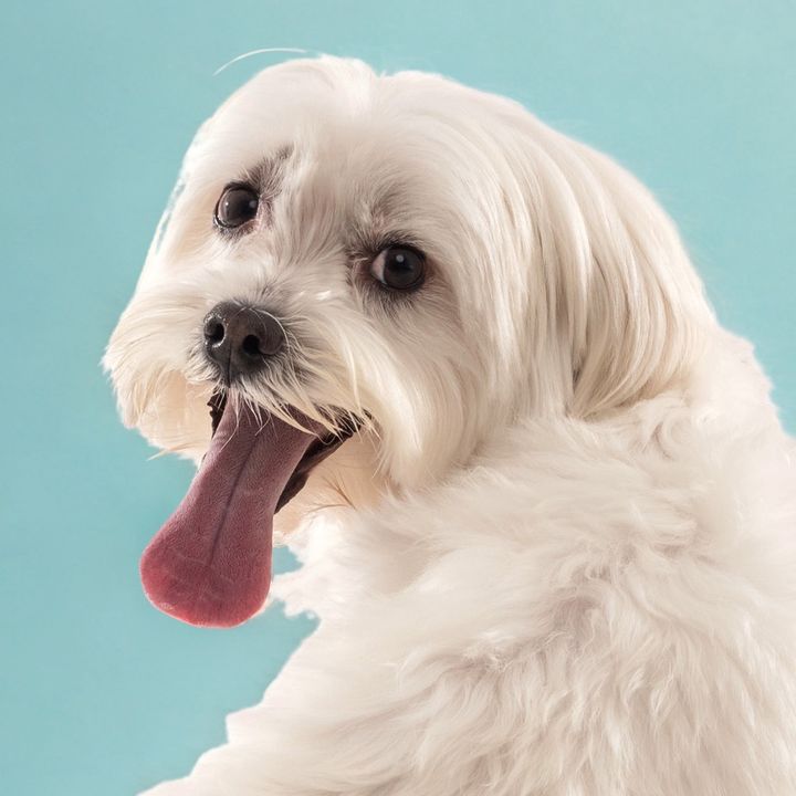 Kiko