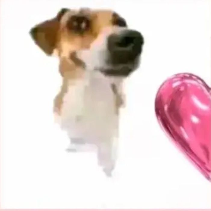 ~Paolla~