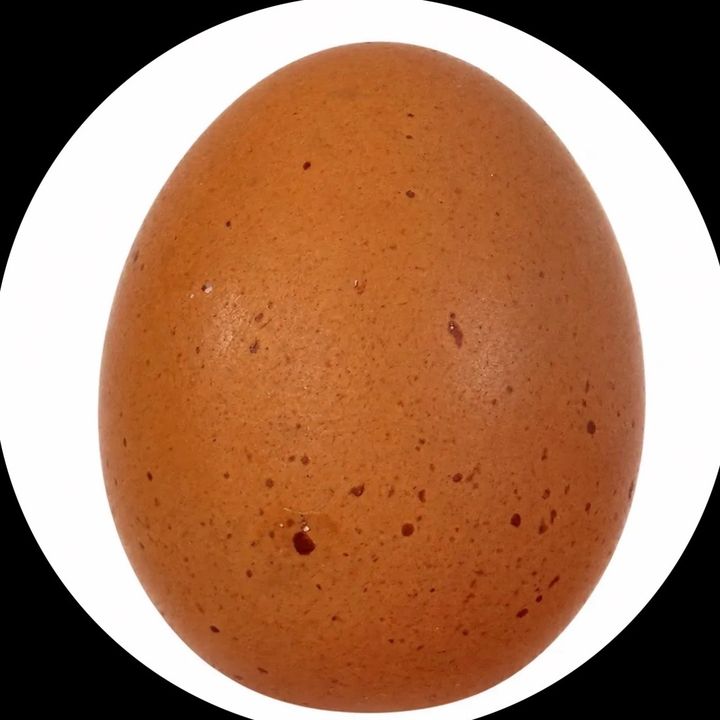 soyelwebo1