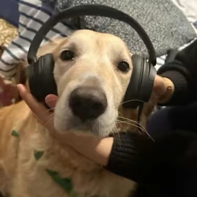 Mouse music8