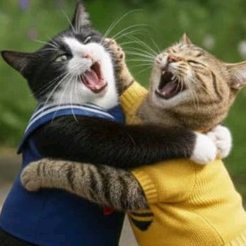 MiawHensem