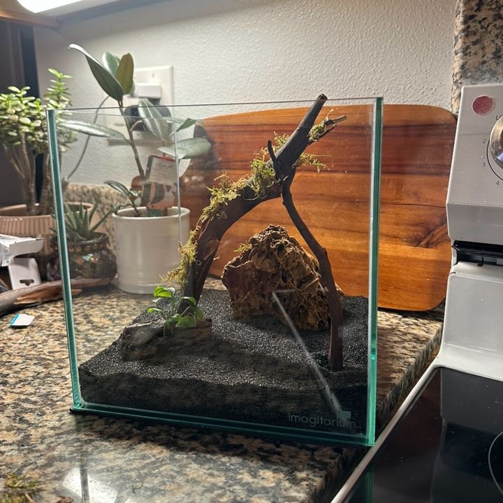 microtankz