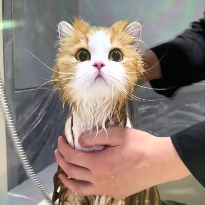 jkhggbh1