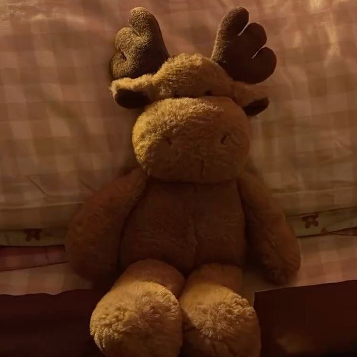 moose 🫎