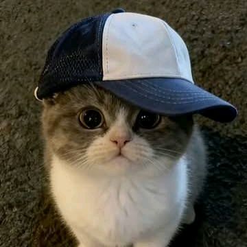 topi_store🧢