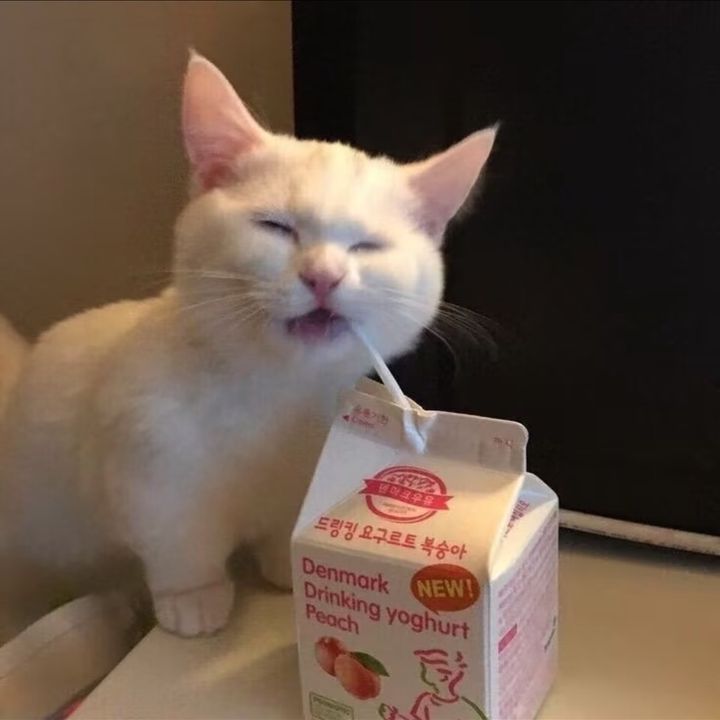 jjjhhh