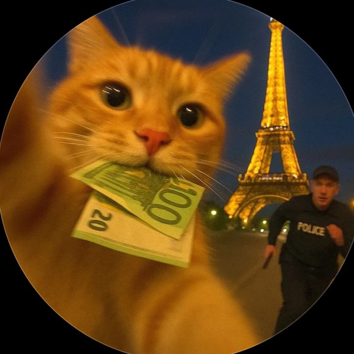 kudzlkz78861