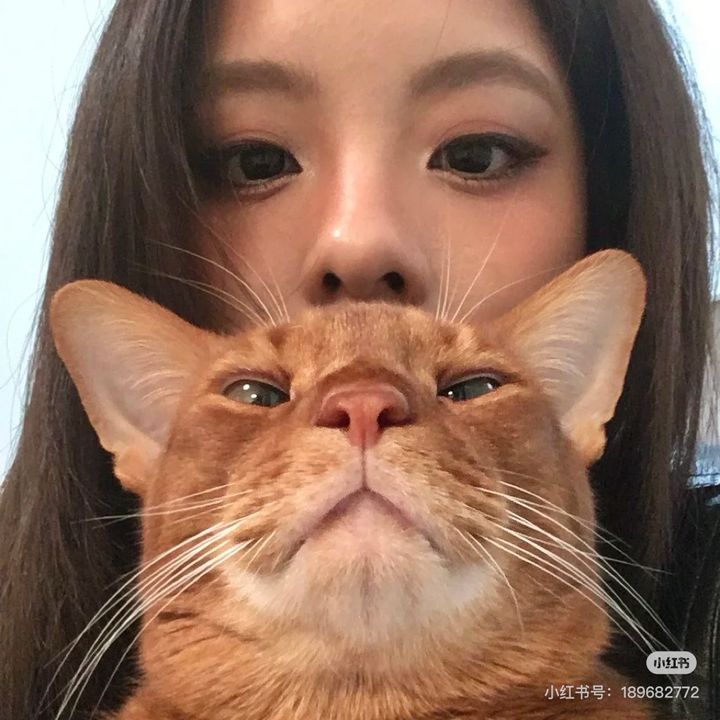 Ashley 🐱