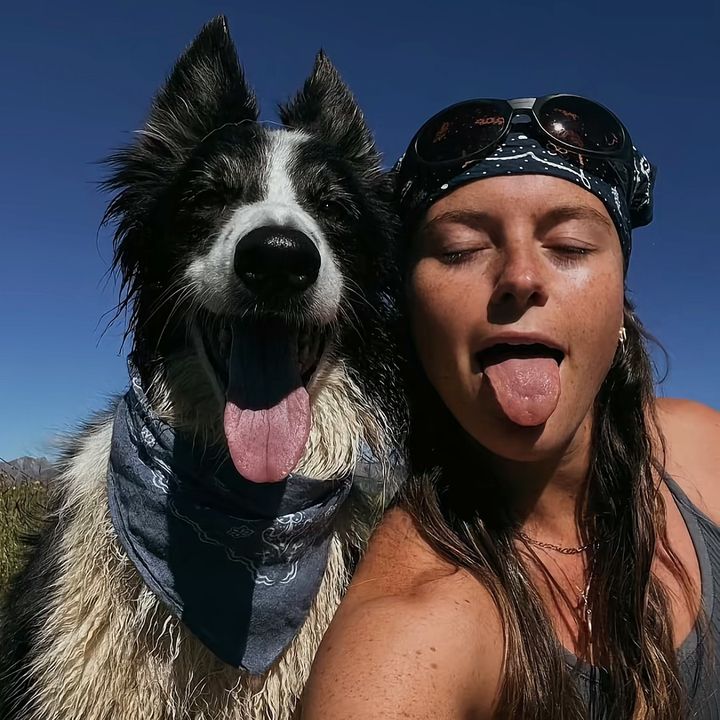 bbgspefv9342