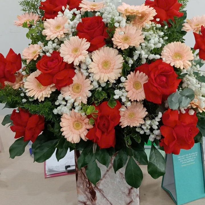 Tạp Hóa Bơ Dâu