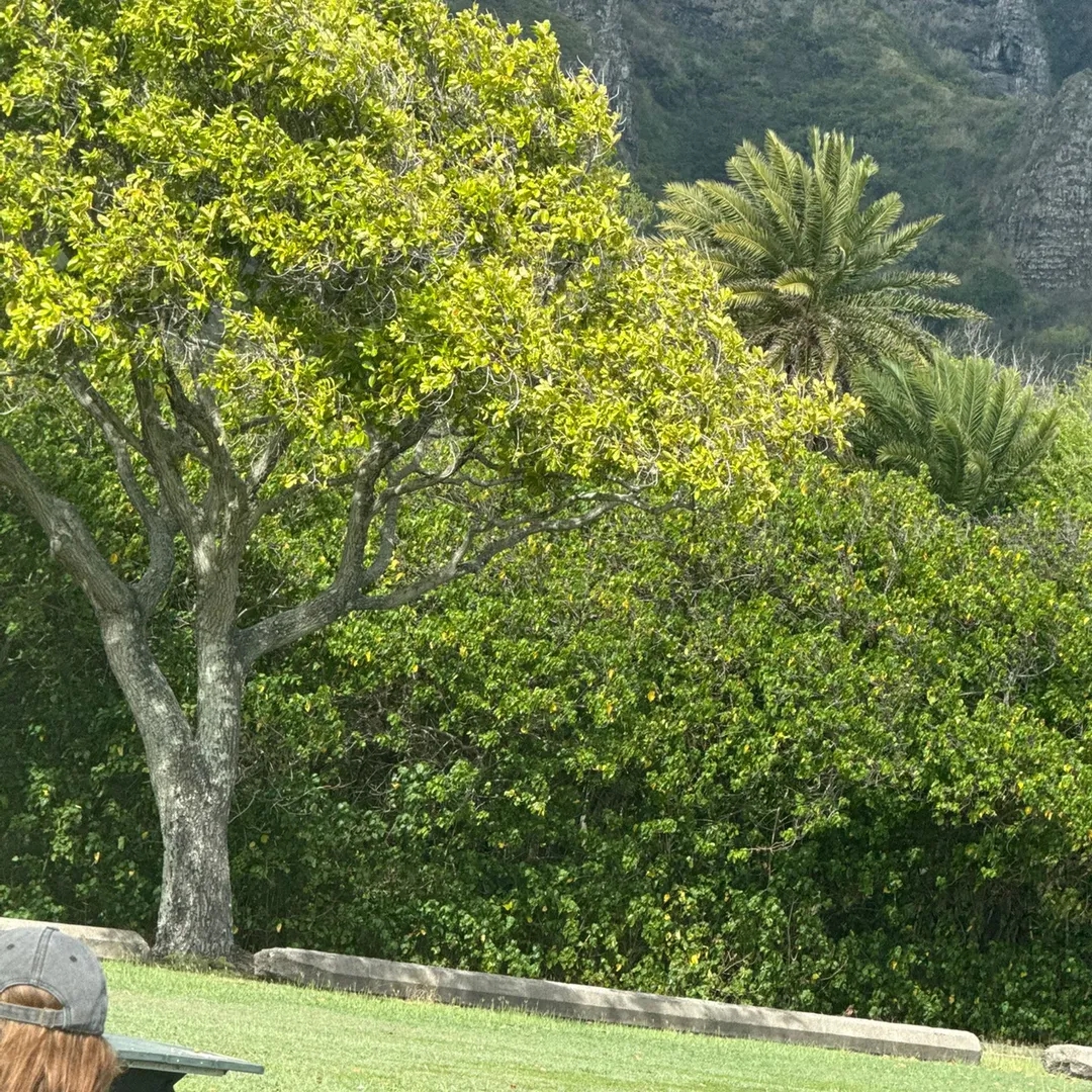 BestFinds