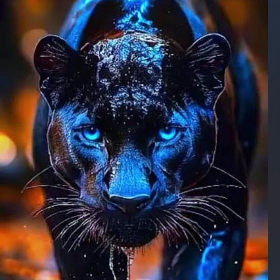 🐾La pantera 🐾 🌺